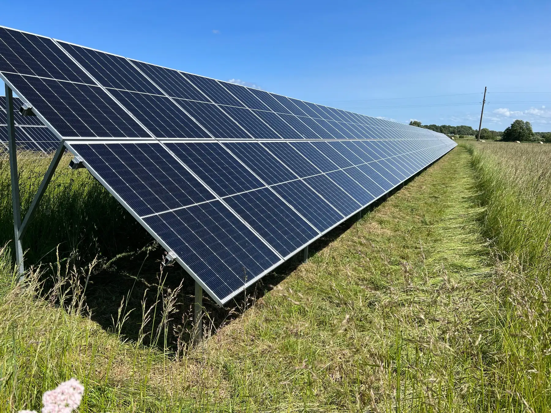 Päikesepargi trimmerdamine